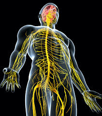 understanding nerve irritation and pain
