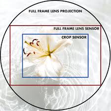 full frame vs crop sensor a guide to
