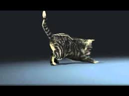 Royalty free license 3d models. 3d Animated Cat Chase Student Work Online Animation School Animationateam Com Youtube Animation Schools Animation Cats