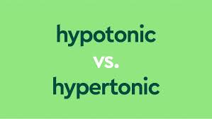 Hypotonic Vs Hypertonic Vs Isotonic