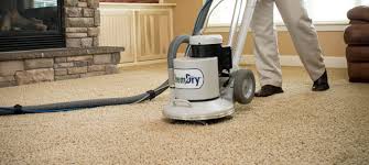carpet upholstery cleaning service