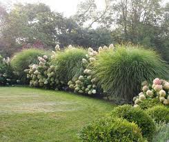 Landscaping With Ornamental Grasses