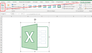 Cómo Quitar el Fondo de la Imagen en Excel - Ninja del Excel