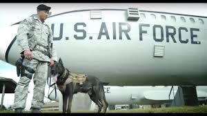 U S Air Force Career Detail Security Forces