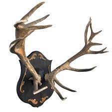 Red Stag Antlers Taxidermy Mounts For