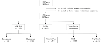 Association Of Postpartum Hypocalcemia With Early Lactation