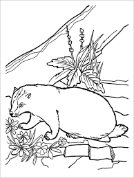 More 100 coloring pages from animal coloring pages category. Badger Coloring Pages Best Coloring Pages For Kids