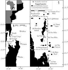 a mozambican marine protected area