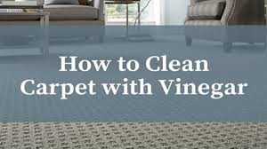 how to clean your carpet with vinegar