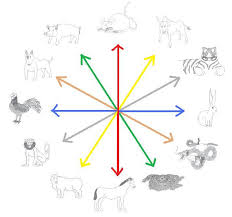 Dragon, horse, goat, dog, rabbit. Chinese Animal Signs Compatibility Zodiac Compatibility Astrology
