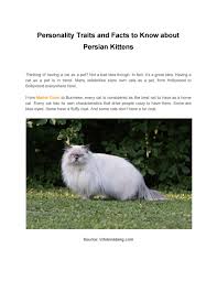 Check out all the characteristics of this breed here! Personality Traits And Facts To Know About Persian Kittens By Pets Nurturing Issuu