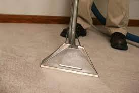 pet stain cleaning