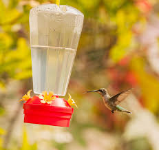 how to make hummingbird food with only