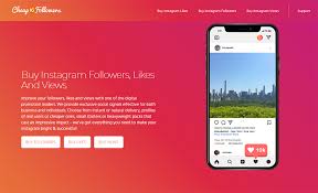 Get in touch with our team with your instagram profile username and the story for which you like to get views. 50 Best Sites To Buy Instagram Followers Real Active 2021 Earthweb