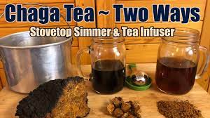 how to make chaga mushroom tea two ways
