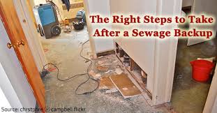 What To Do After Sewage Backup How To