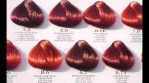 Auburn Hair Color Chart World Of Reference