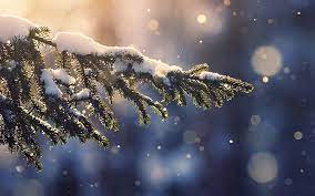mk28-snowing-tree-blue-christmas-winter ...