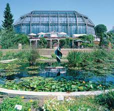 Der garten wurde zu beginn des 20. Botanischer Garten Spitzenwissenschaftler Sollen Nach Berlin Kommen Welt