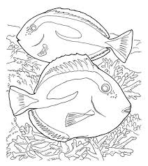 Coral reefs develop in warm and shallow water near the land. Top 10 Coral Coloring Pages For Toddler