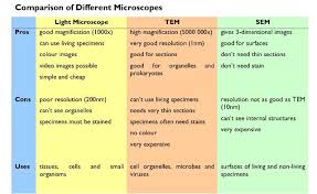 Image Result For Microscope Comparison Chart Microbiology
