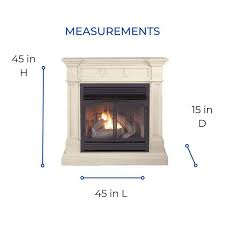 Duluth Forge Dual Fuel Ventless Gas