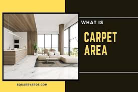 what is carpet area in your house