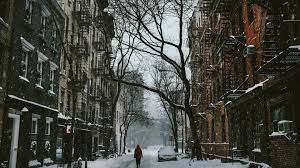 Wallpaper Snow, street, city, trees ...