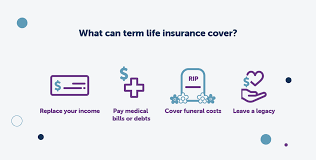 Maybe you would like to learn more about one of these? Rapidecision Senior Life Term Insurance Fidelity Life