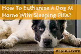 And it's not just the legal angle here that makes me a naysayer when it comes to diy home euthanasias — nor the money thing (in case you think me mercenary enough to protect my profession. How To Euthanize A Dog At Home With Sleeping Pills National Canine Research Association Of America