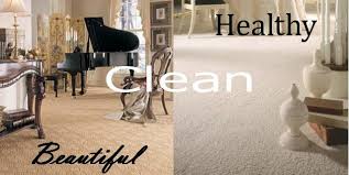 elite carpet cleaning service
