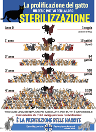 Enpa Treviso - Ente Nazionale Protezione Animali Treviso - Sterilizzazione