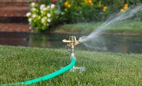 Best Sprinklers For Your Lawn And