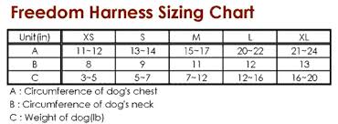 Luxury Pet Boutique Dog Collars Dog Treats Dog