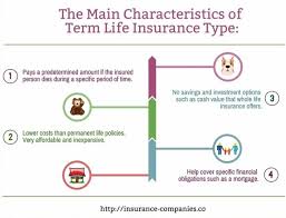 Different Types Of Life Insurance Explanation The