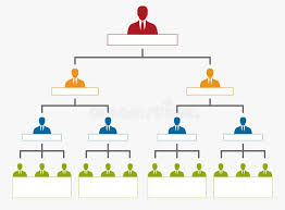 Hierarchy In Company Organization Chart Tree Stock Vector