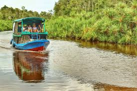 Create a trip to save and organise all of your travel ideas, and see them. River Safari On The Sekonyer River Tanjung Puting National Park Www Orangutan Ecotour Com Safari