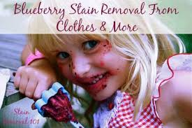 blueberry stain removal tips tricks