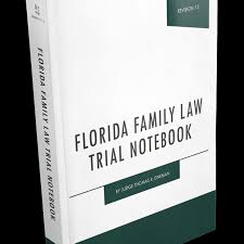 Florida Family Law Practice