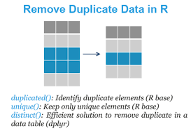 identify and remove duplicate data in r