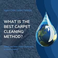 is carpet cleaning safe for pets