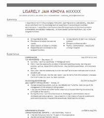Professional Objectives For Resumes Resume Objective Statement