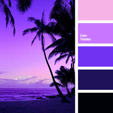 black and violet color palette ideas