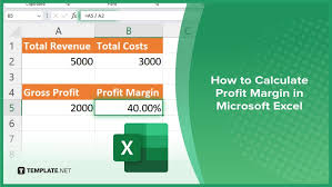 how to calculate profit margin in