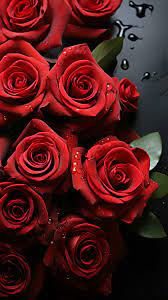 view from above red roses a romantic