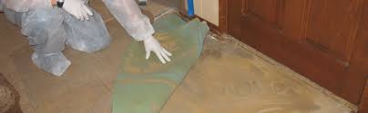 mold removal reation puroclean