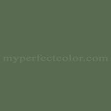 Behr 808 Forest Green Precisely Matched