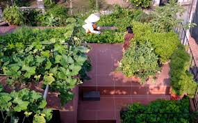 Ten Lush Rooftop Gardens That Serve As