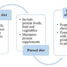 pdf precision nutrition in the context