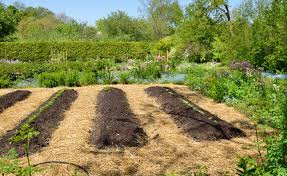 April Vegetable Garden Planting Zone By